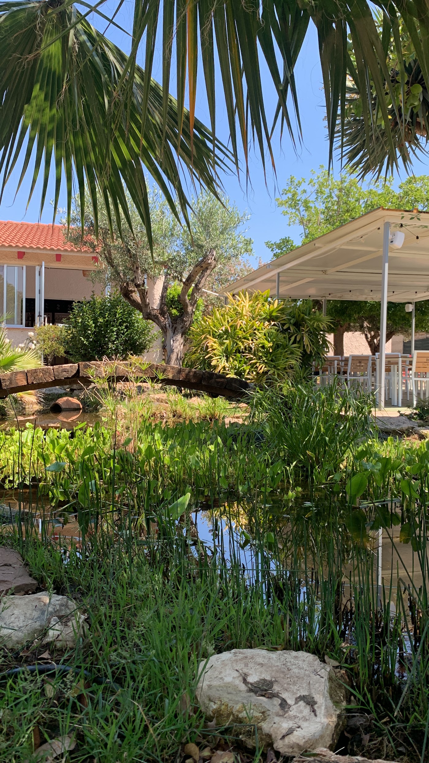 El jardín